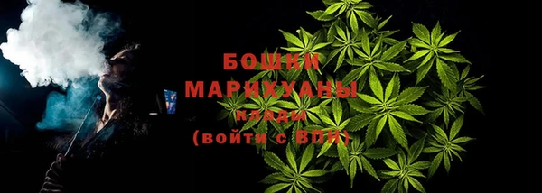 винт Болотное