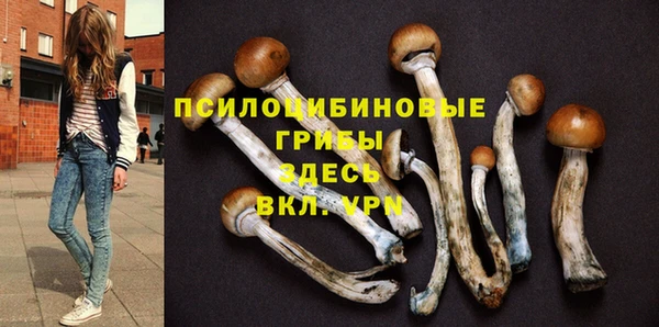 мет Нефтегорск