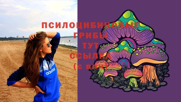 мет Нефтегорск